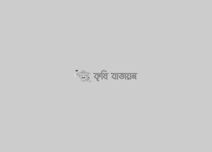 বিনা সয়াবিন-২ এর চাষাবাদ পদ্ধতি